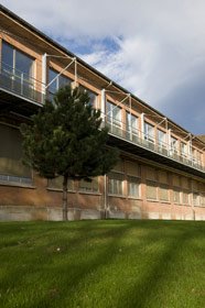 Loft après rénovation